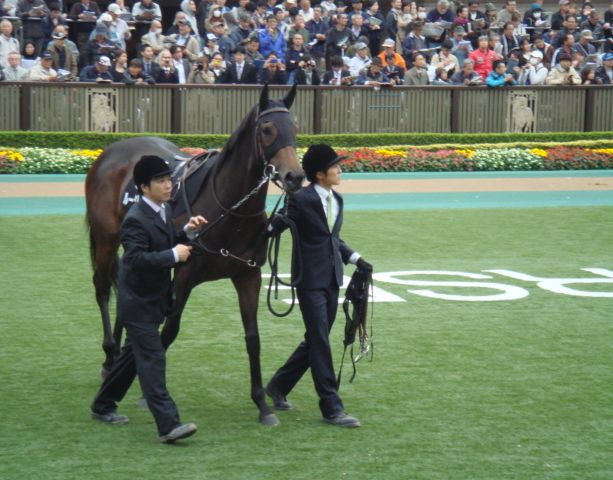 2014/11/09　百日草特別 ルージュバック