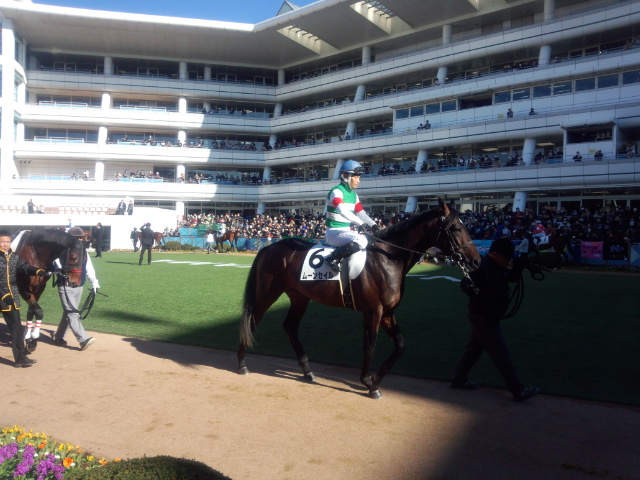 新馬戦 ムーンセイル