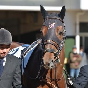 3歳未勝利　中山競馬場