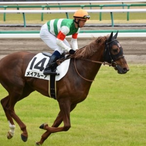 3歳未勝利　中山競馬場  返し馬