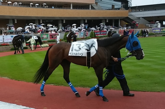 パドック1 ベツァオバーン