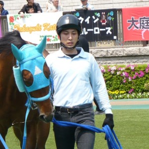 未勝利パドック