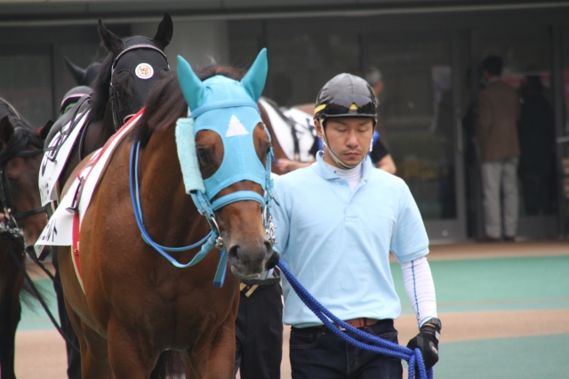 未勝利パドック ジョッセルフェルト