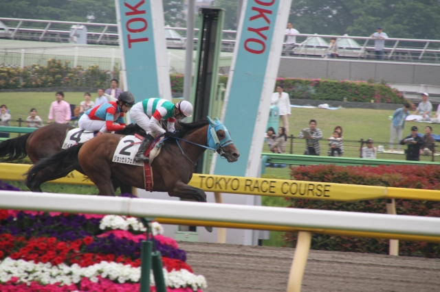 未勝利　ゴール前 ジョッセルフェルト