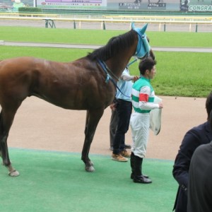 未勝利　ウイナーズサークル