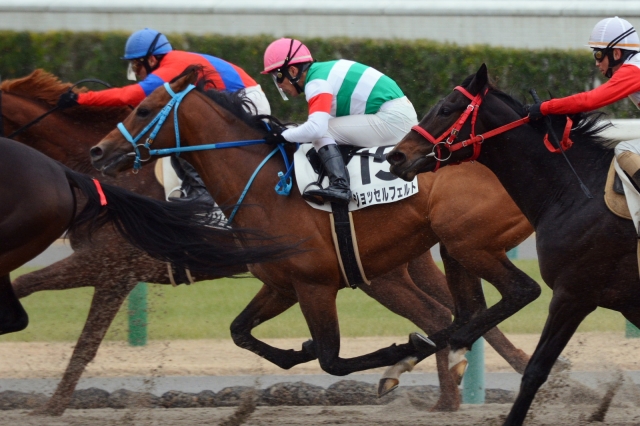 2歳未勝利 ジョッセルフェルト