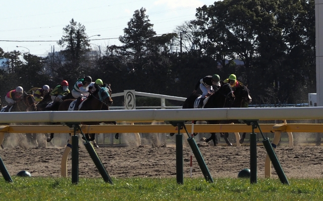 未勝利戦　３着　ラスト直線 ジョッセルフェルト
