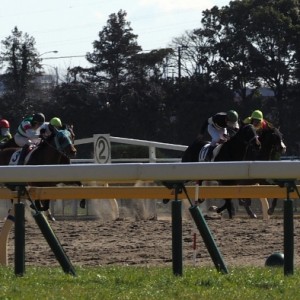 未勝利戦　３着　ラスト直線