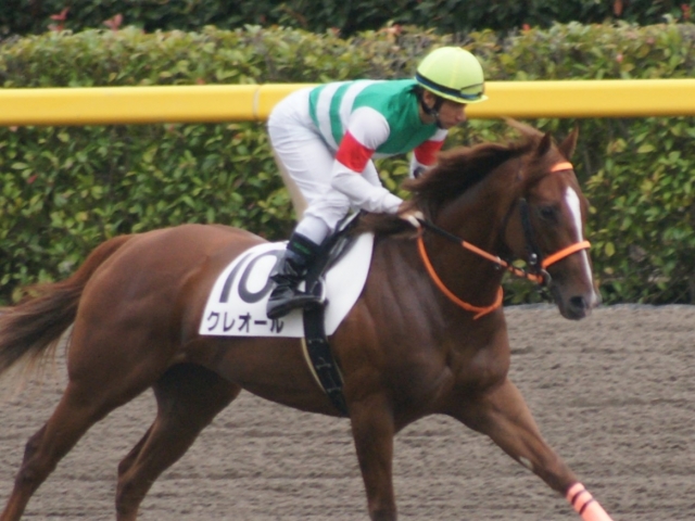 13戦目(３歳上500万)返し馬 クレオール