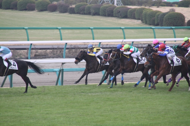 500万下　直線 ラッシュアタック