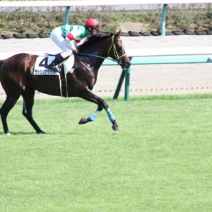 3歳500万下　返し馬