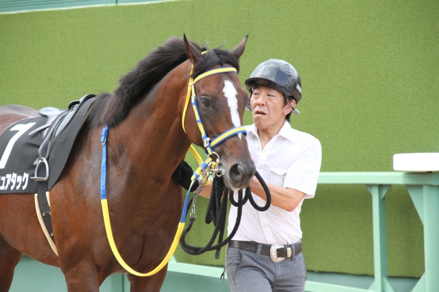 本馬場入場前 ラッシュアタック
