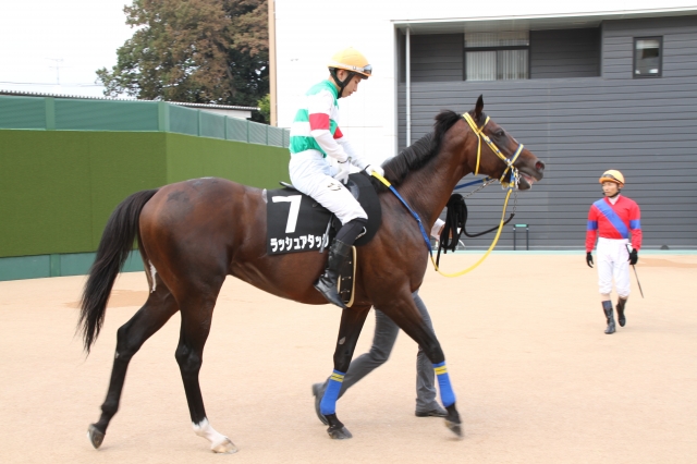 本馬場入場前 ラッシュアタック