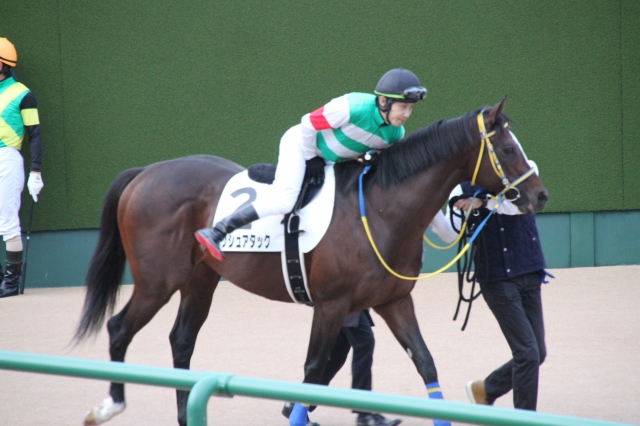 本馬場入場 ラッシュアタック