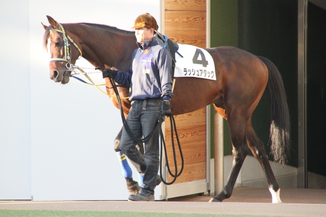 パドック ラッシュアタック