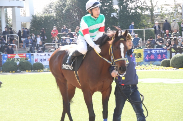 パドック ラッシュアタック