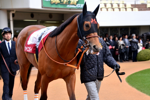 弥生賞　2015-0308 シャイニングレイ