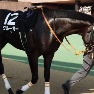 日刊スポーツ杯　パドック