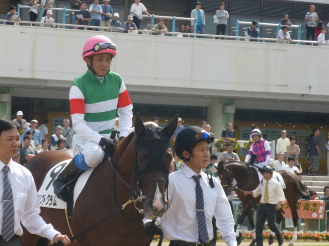 新馬戦パドック２ クリプトグラム