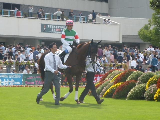 新馬戦　パドック４ クリプトグラム