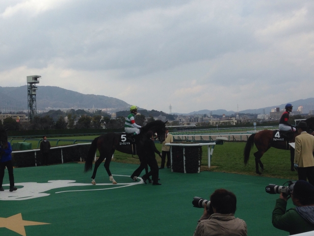 ゆきやなぎ賞（本馬場） エトランドル