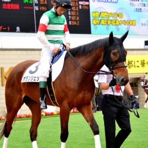 デビュー　３歳未勝利　2015-0523