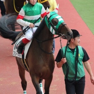 新馬戦パドック