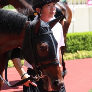 小倉未勝利パドック