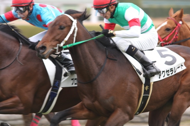 ２８日　阪神３R　２歳未勝利戦　１着 アクセラレート