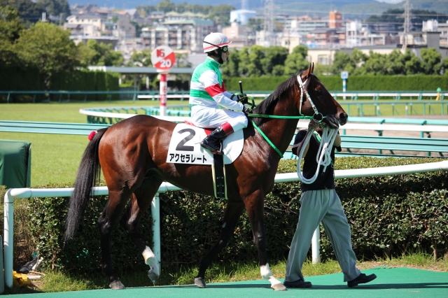 3歳以上500万下 2015/9/20 アクセラレート