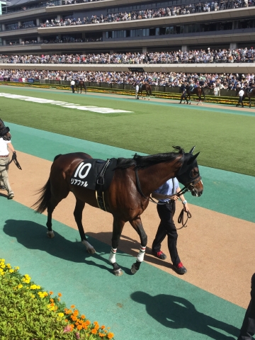 パドック リアファル