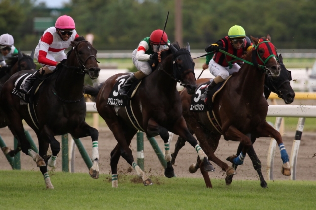 日本海ステークス アダムスブリッジ