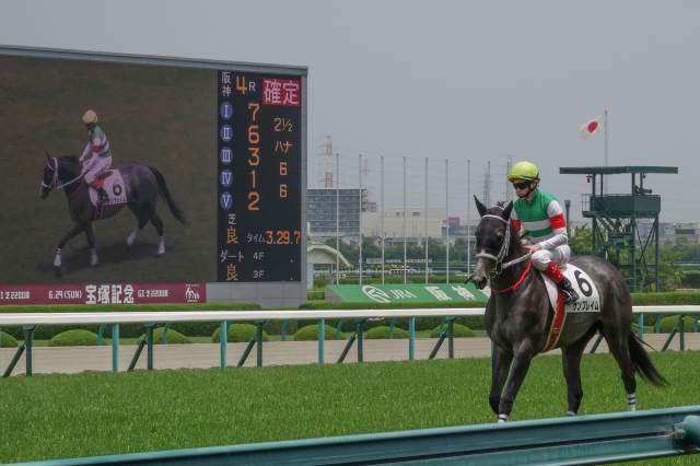 新馬戦＜阪神芝1400m＞ サンフレイム