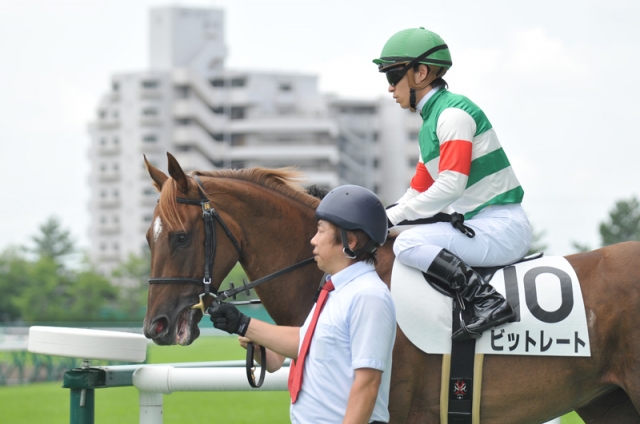 メイクデビュー中京本場場入場 ビットレート