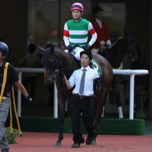 2014年2回小倉12日目 第34回小倉2歳S