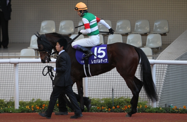 2014年5回阪神4日目11R 第66回阪神JF レオパルディナ