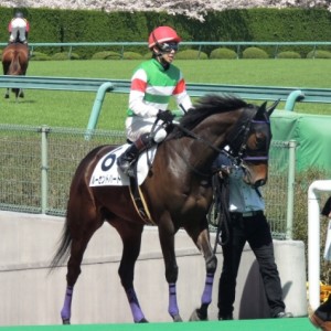 未勝利戦　入場