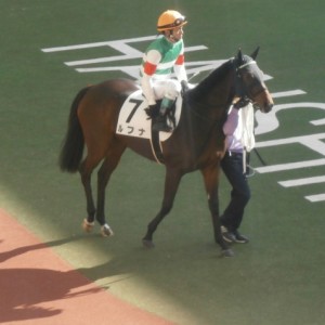 ２歳新馬　パドック