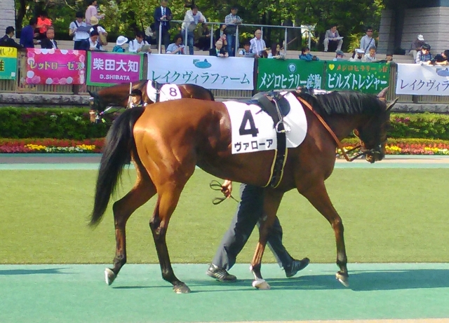 2017.05.06　東京12Ｒ　ダ1600 ヴァローア