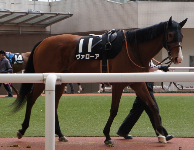 2018.02.25 阪神10R　ダ1800 ヴァローア