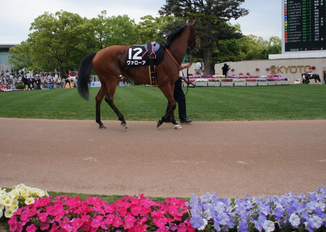 2018.05.06　京都10Ｒ　ダ1800(1600万下） ヴァローア