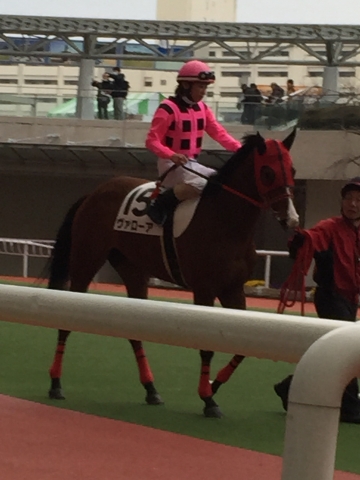 2015年3月14日　未勝利戦パドック ヴァローア