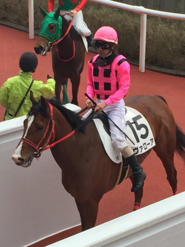 2015年3月14日　未勝利戦レース後 ヴァローア