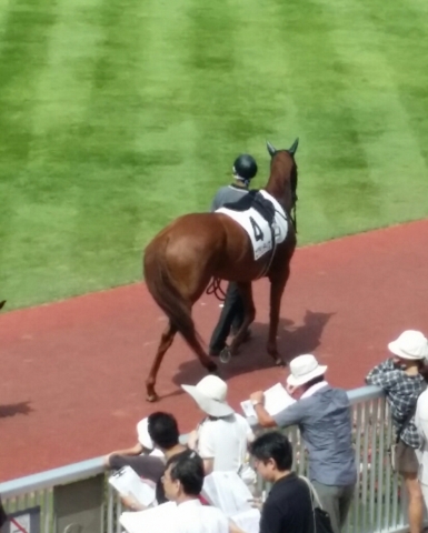 エグランティエ新潟競馬場所パドック エグランティエ