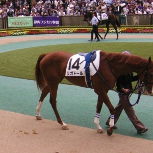 2014/10/12：２歳未勝利パドック
