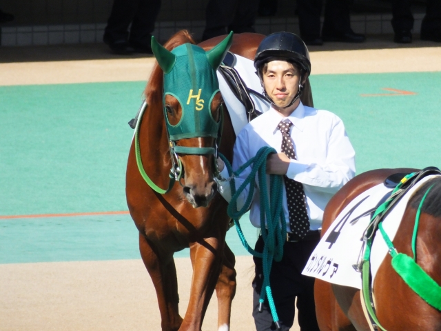 東京競馬場　２歳未勝利戦 ハルダヨリ