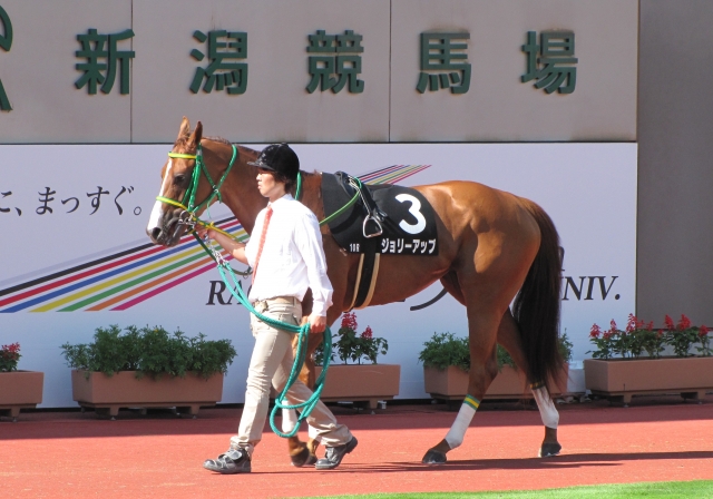 第10戦目パドック ジョリーアップ