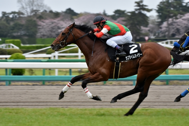 直線　抜け出す サブライムカイザー