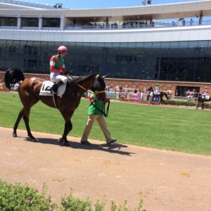 函館競馬場 ヴェルトフリーデン
