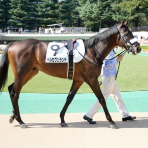東京４Ｒ　２歳新馬